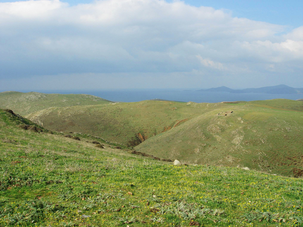 fakos lemnos island