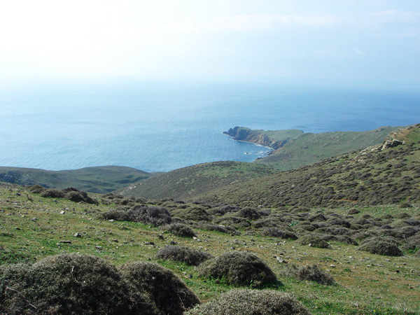 fakos lemnos island