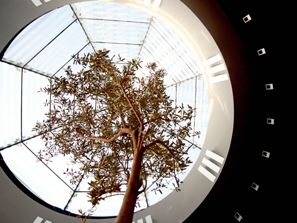 poseidonos avenue office building