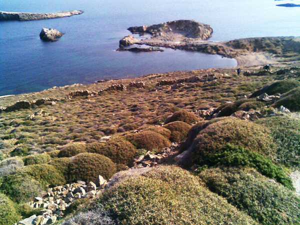 marmakopoio saint sostis mykonos